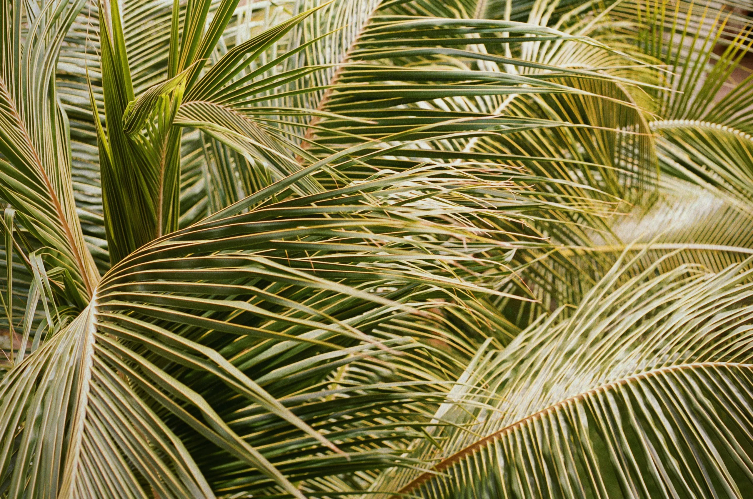 hans-KvJiZnI6Y0s-unsplash